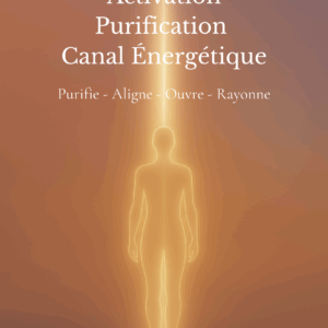 Purification Canal Energétique